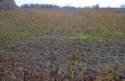 Property photo 15 - 80 Acres & Home - Property Offered in 4 Tracts from 2.3 to 30.0 Acres